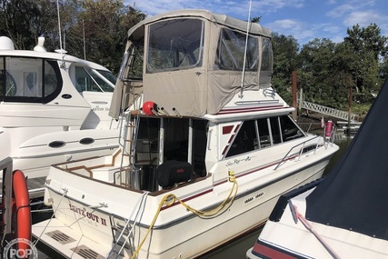 Sea Ray 340 Sedan Bridge