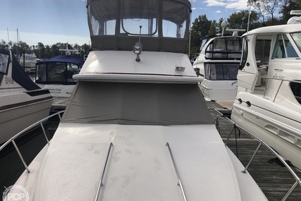 Sea Ray 340 Sedan Bridge