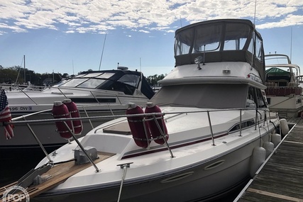 Sea Ray 340 Sedan Bridge