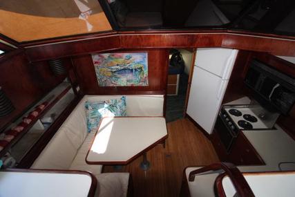 Chris-Craft Catalina 480