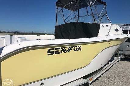 Sea Fox 236WA