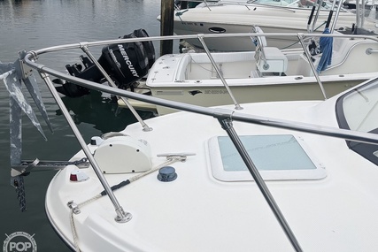 Bayliner 242 EC CLASSIC