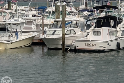 Bayliner 242 EC CLASSIC