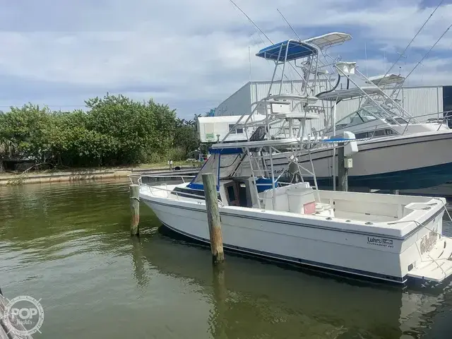 Luhrs 290 Tournament