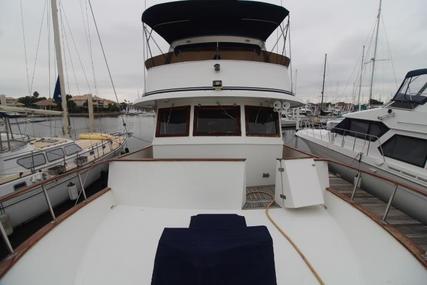 Trader 50 Trawler Motor Yacht