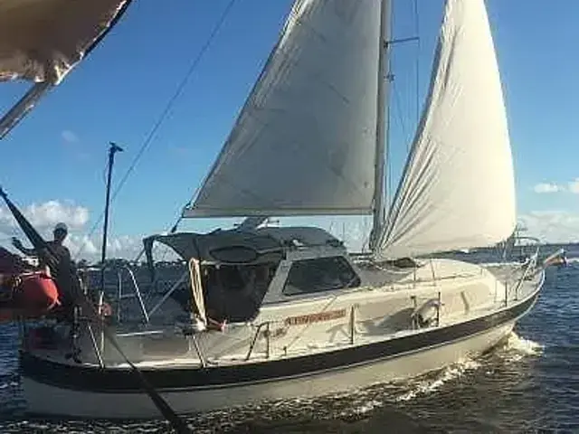 Finnsailer VTZ 29