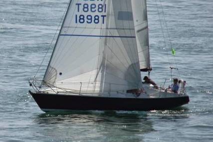 Albin Scampi 30