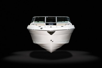 Robalo Dual console R227