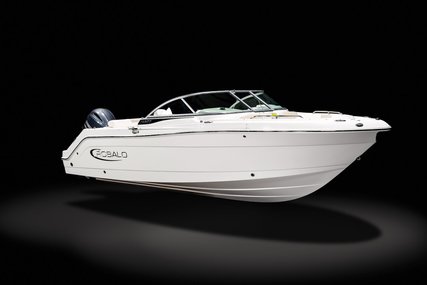 Robalo Dual console R227