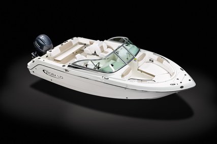 Robalo Dual console R227