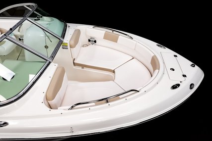 Robalo Dual console R227