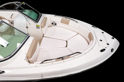 Robalo Dual console R227