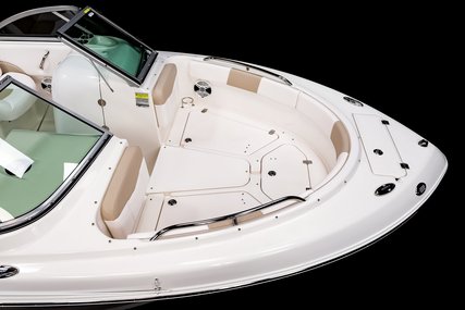 Robalo Dual console R227