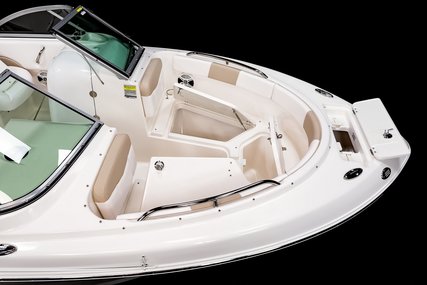 Robalo Dual console R227