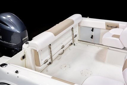 Robalo Dual console R227