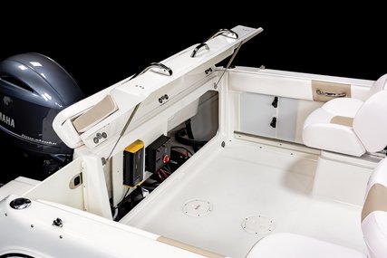 Robalo Dual console R227