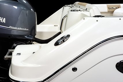 Robalo Dual console R227