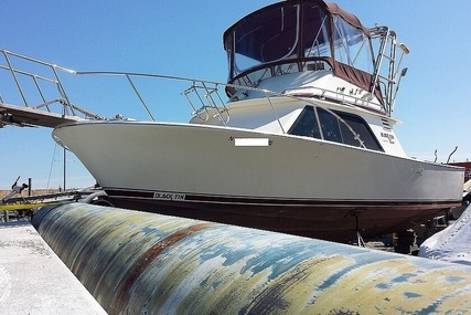 Blackfin 32 Flybridge