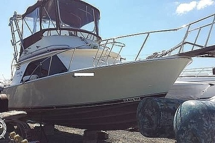 Blackfin 32 Flybridge