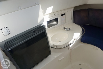 Cobia 312 Sport Cabin