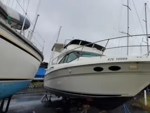 Sea Ray 370 Aft Cabin