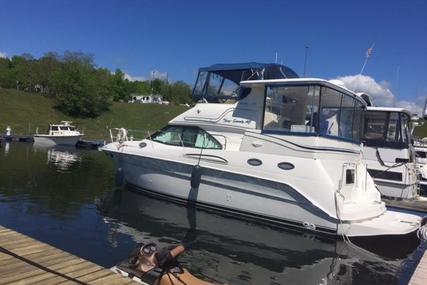 Sea Ray 370 Aft Cabin