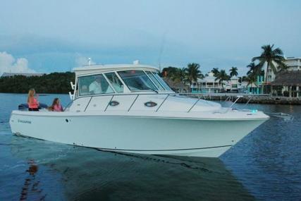 Sailfish 320 Express