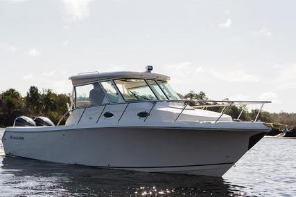 Sailfish 320 Express