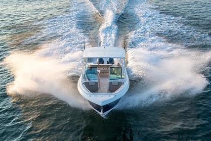 Sailfish 275 Dc