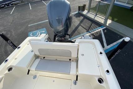 Shearwater 250 CAROLINA BAY XTE