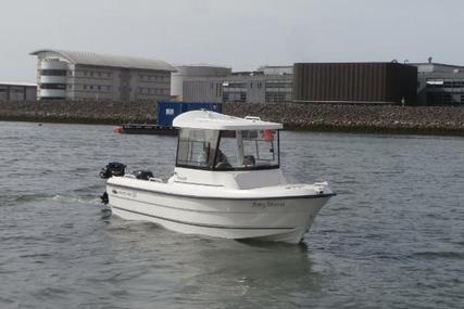 Smartliner Fisher 21