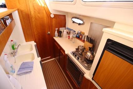 Broadblue Prestige 38