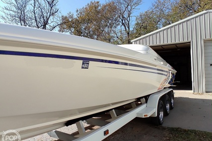 Sunsation 32 Dominator