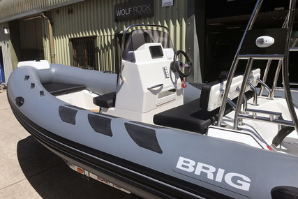 Brig Navigator 485 - NEW 2021 - ORCA Hypalon