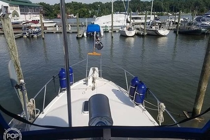 Bayliner Explorer 3270 Diesel