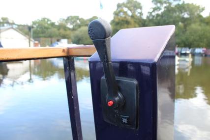 Aintree Beetle 25' Narrowboat