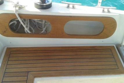 Plaver Sciarelli 50 Schooner