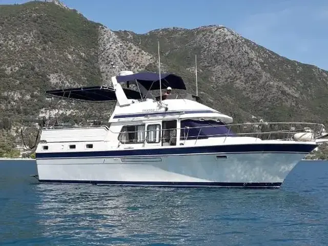 Trader 41