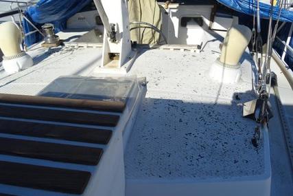 Custom Boats Croft Marine Calliope 405