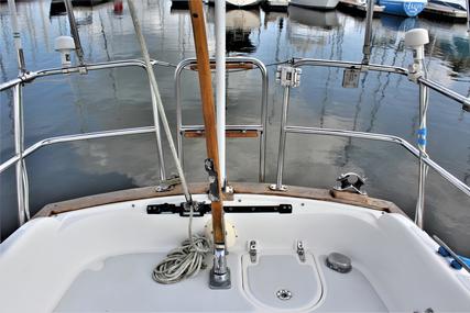 Pacific Seacraft Dana 24