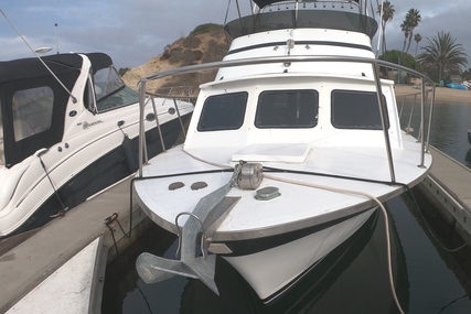 Luhrs 28 Express