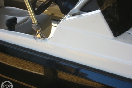 Bayliner Element Xr7