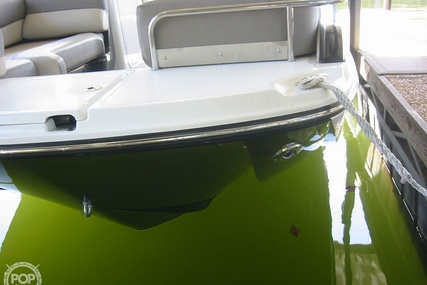 Bayliner Element Xr7