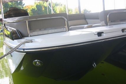 Bayliner Element Xr7