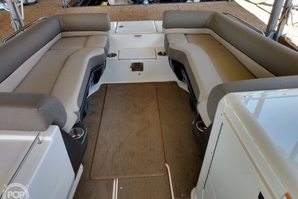 Bayliner Element Xr7