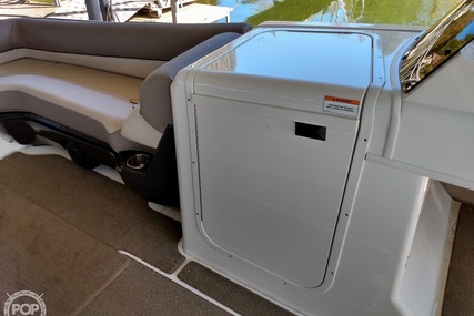 Bayliner Element Xr7