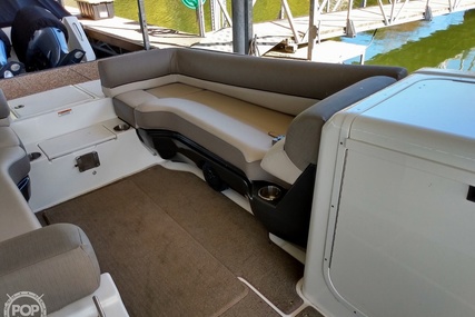 Bayliner Element Xr7