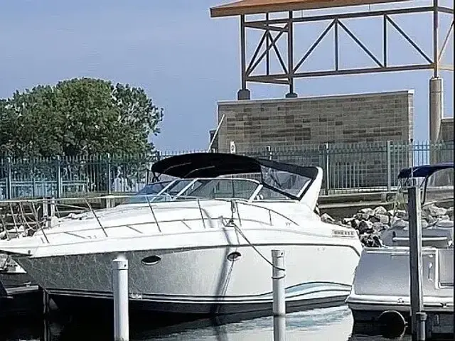 Baja 340 Express Cruiser