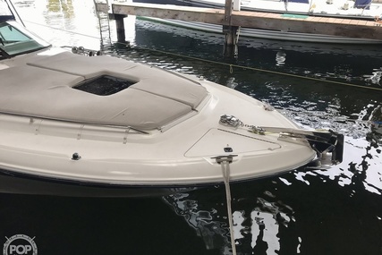 Sea Ray 310 Sun Sport