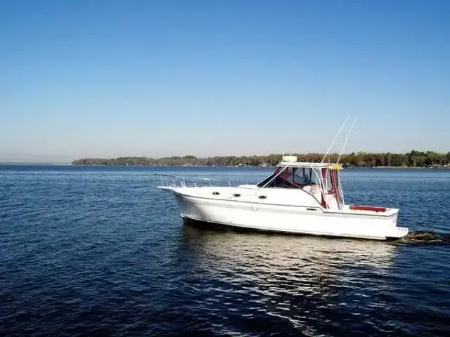 Luhrs 35 Express Cruiser